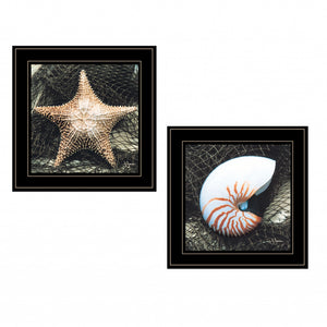 Set Of Two Ocean Net 2 Black Framed Print Wall Art