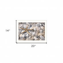 Starfish And Seashell 2 White Framed Print Wall Art
