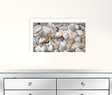 Starfish And Seashell 2 White Framed Print Wall Art