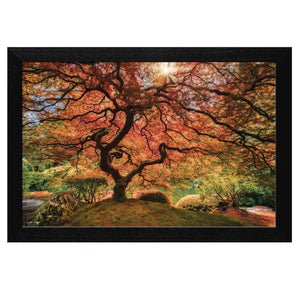 First Colors Of Fall Black Framed Print Wall Art
