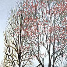 Spring At White House Farm Wrapped Canvas Print Wall Art