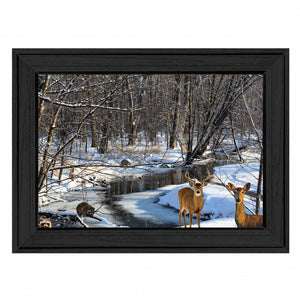 Great Outdoors Nature 1 Black Framed Print Wall Art