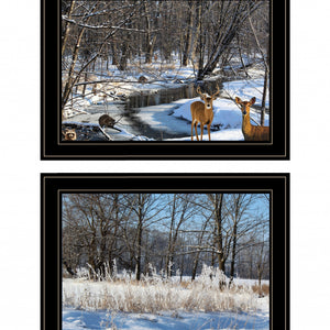 Set Of Two Great Outdoors Nature Or Winter Forest 4 Black Framed Print Wall Art