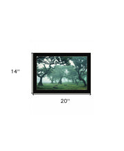 Enchanted Forest II 1 Black Framed Print Wall Art