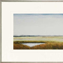 Set Of Two Marshlands Ii Set Of 2 Framed Art Silver Picture Frame Print Wall Art