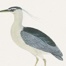 Set Of Two Herons Set Of 2 Black and Metallic Framed Print Wall Art