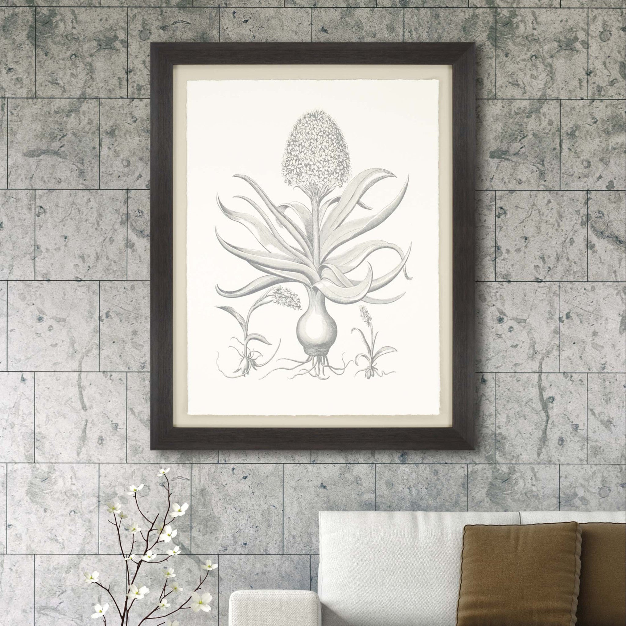Hyacinthus Sepia Botanical Brown Frame Print Wall Art