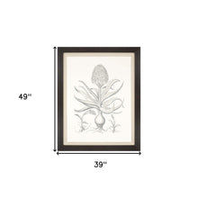 Hyacinthus Sepia Botanical Brown Frame Print Wall Art
