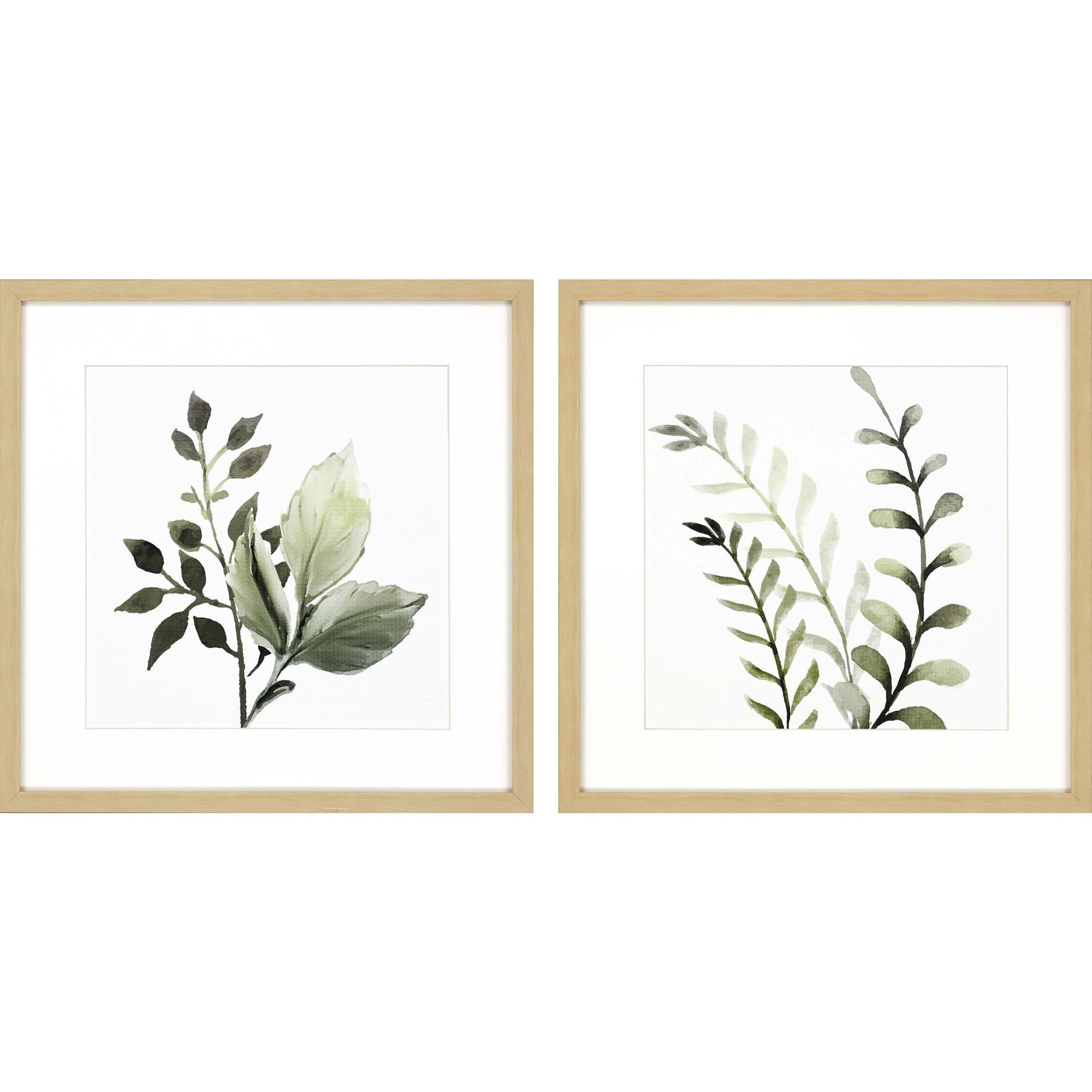 Set Of 2 Green Watercolor Sage Botanical Square Framed Wall Art
