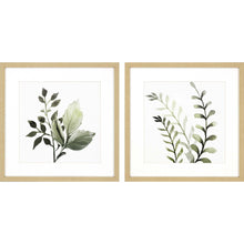 Set Of 2 Green Watercolor Sage Botanical Square Framed Wall Art