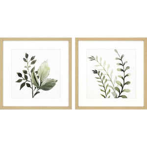 Set Of 2 Green Watercolor Sage Botanical Square Framed Wall Art