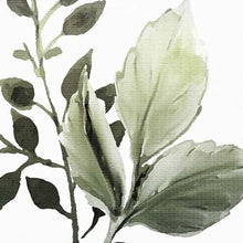 Set Of 2 Green Watercolor Sage Botanical Square Framed Wall Art