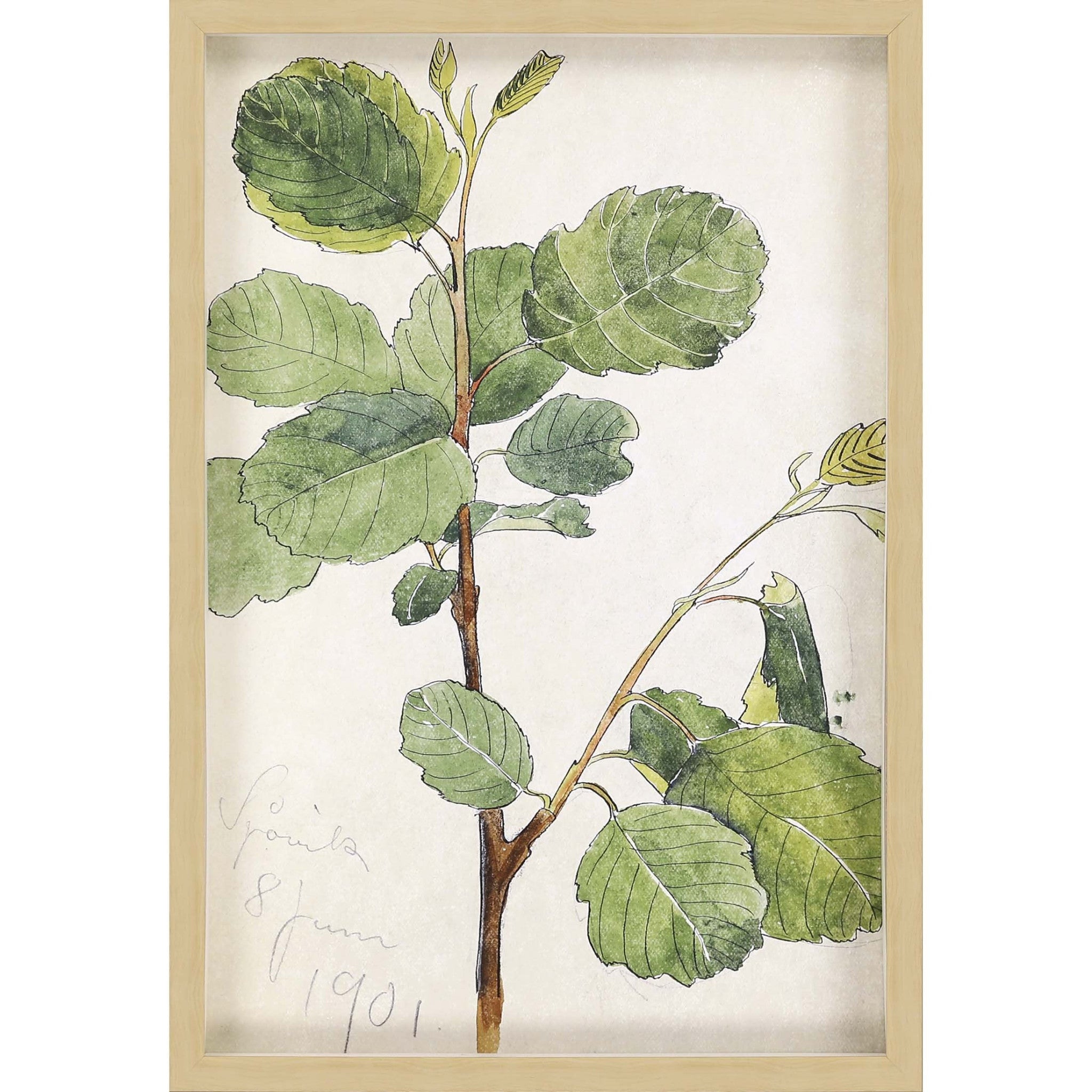 Green Vintage Botanical Brown Shadow Box Framed Wall Art