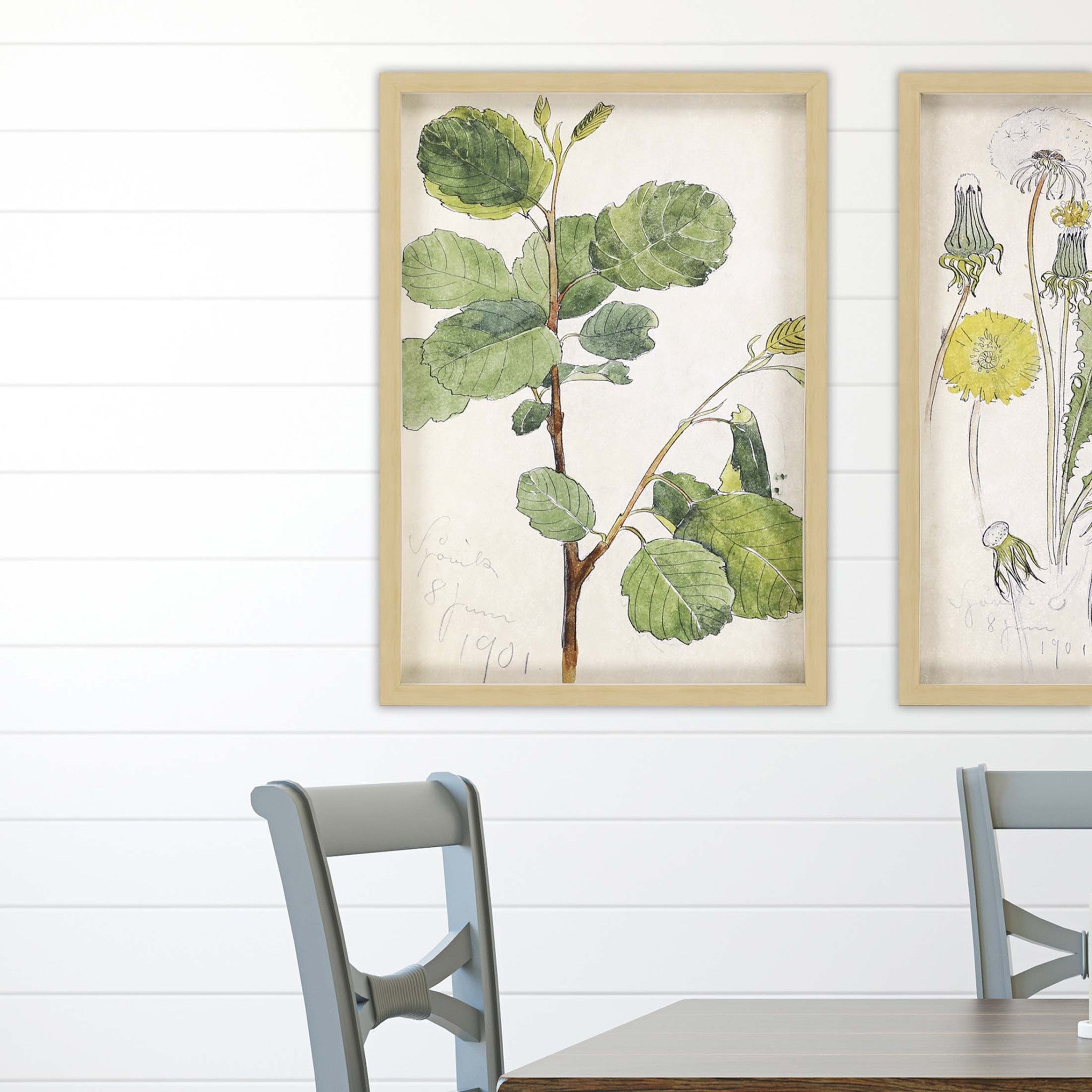 Green Vintage Botanical Brown Shadow Box Framed Wall Art