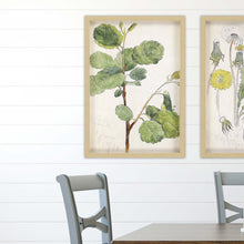 Green Vintage Botanical Brown Shadow Box Framed Wall Art