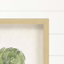 Green Vintage Botanical Brown Shadow Box Framed Wall Art