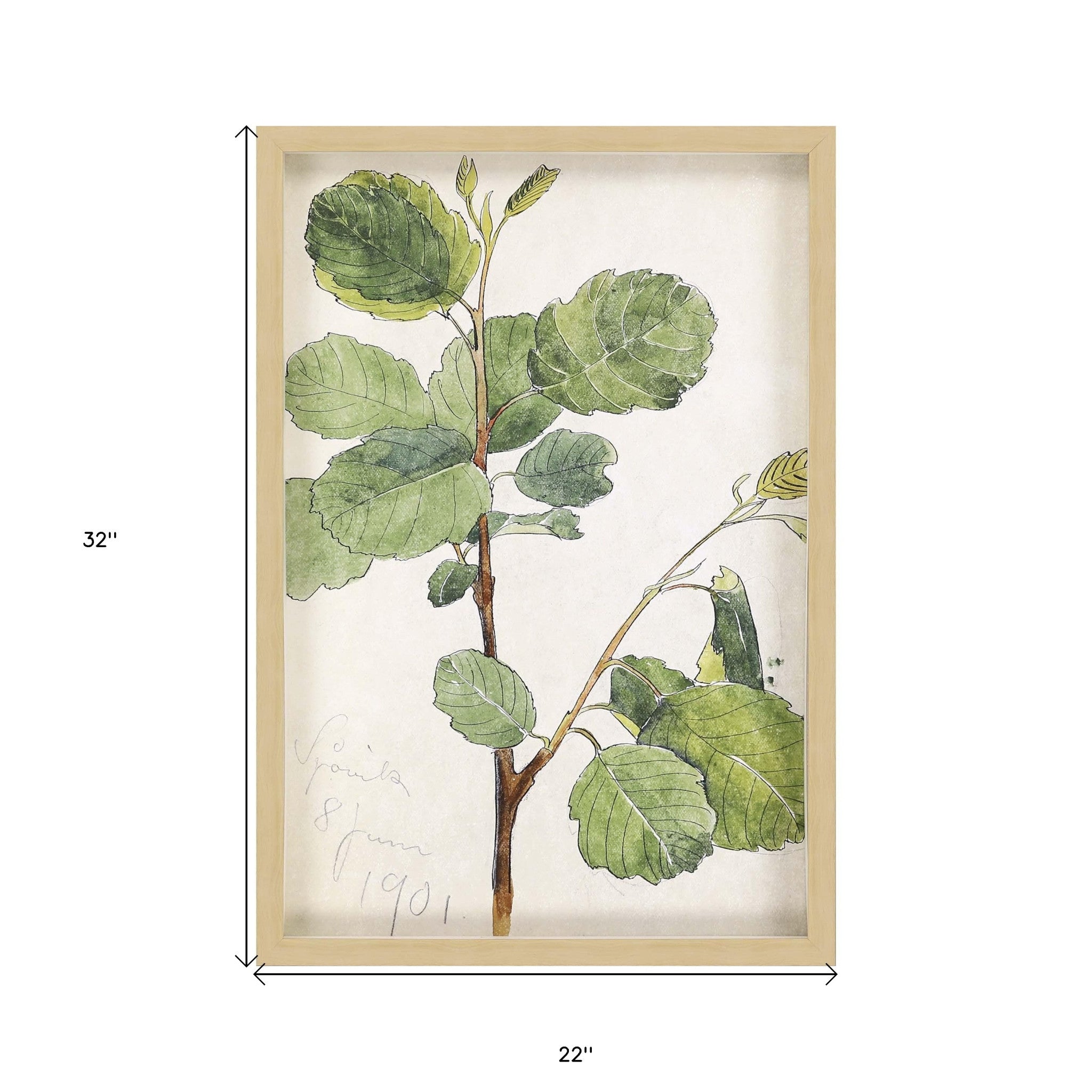 Green Vintage Botanical Brown Shadow Box Framed Wall Art