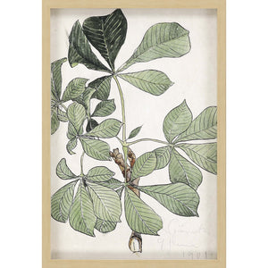 Green Oversized Botanical Brown Shadow Box Framed Wall Art
