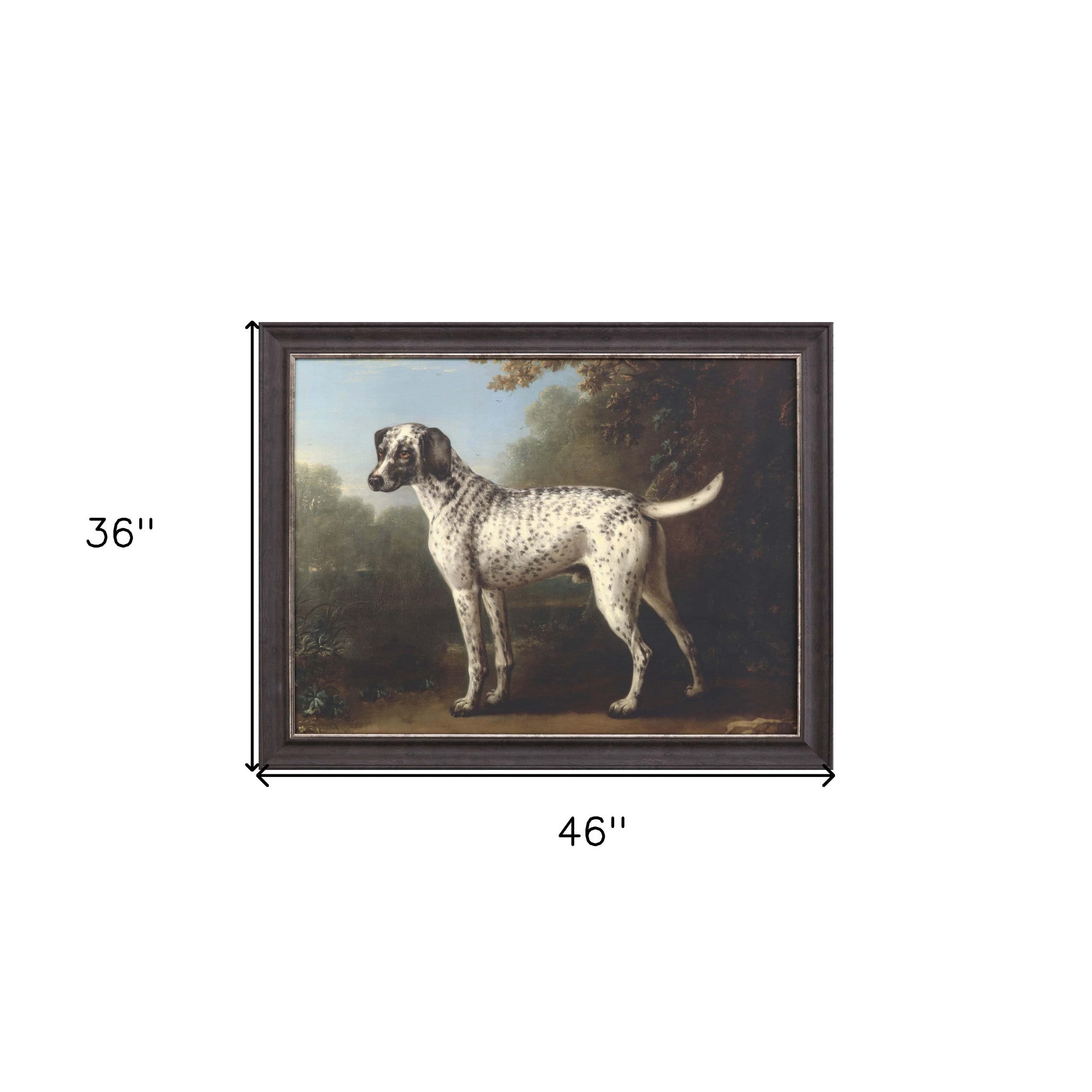 Grey Spotted Hound Framed Art Brown Picture Frame Print Wall Art