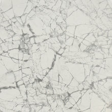 Solid Color Metal Grey/ Ivory Black Legs