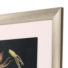 Yellow Flower On Black Ii Framed Art Gold Picture Frame Print Wall Art