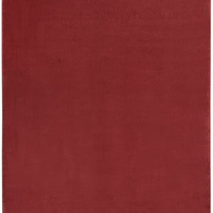 5' X 7' Brick Red Non Skid Indoor Outdoor Area Rug