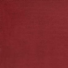 5' X 7' Brick Red Non Skid Indoor Outdoor Area Rug