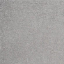 6' X 9' Silver Grey Indoor Outdoor Area Rug