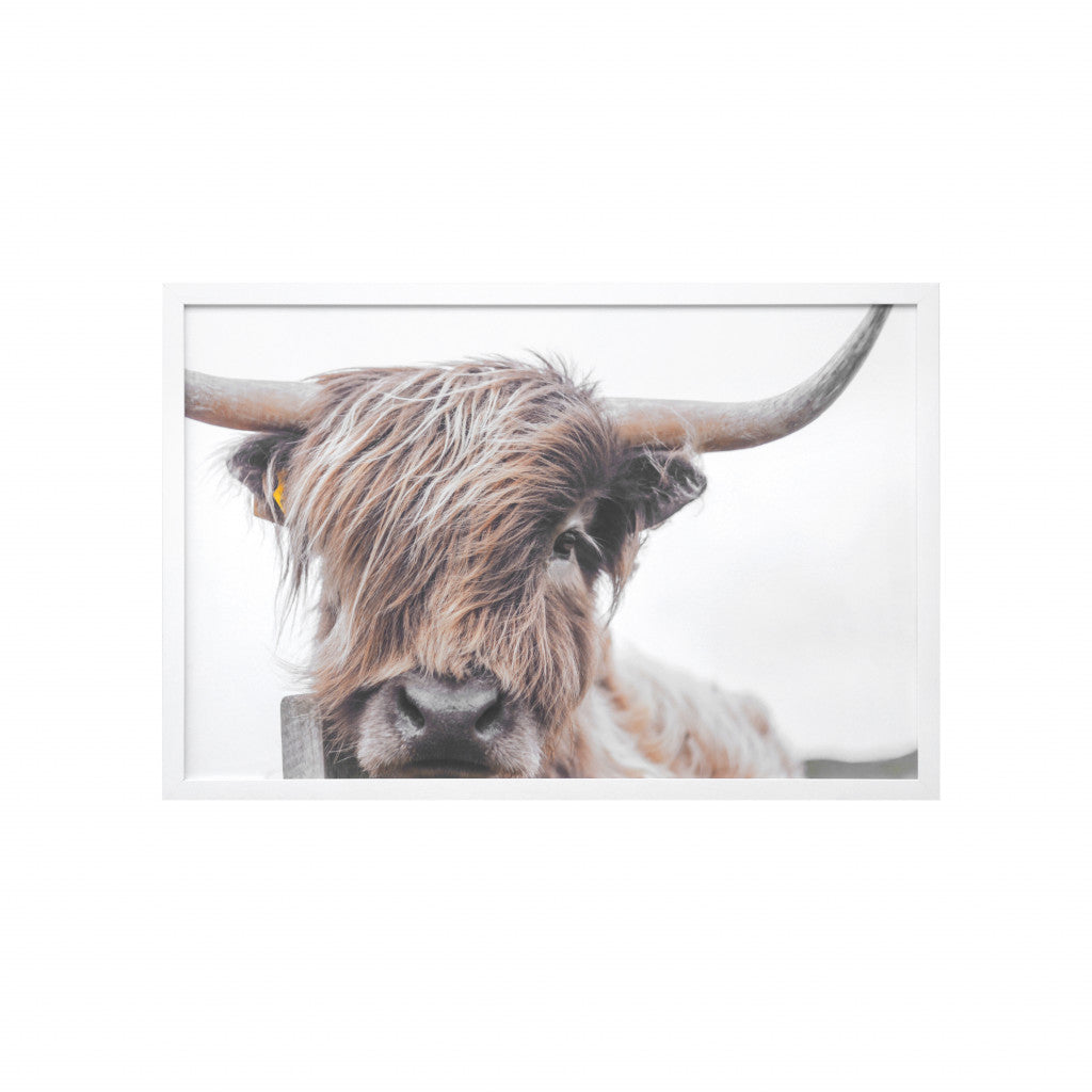 Highland Cow White Picture Frame Photograph Wall Art