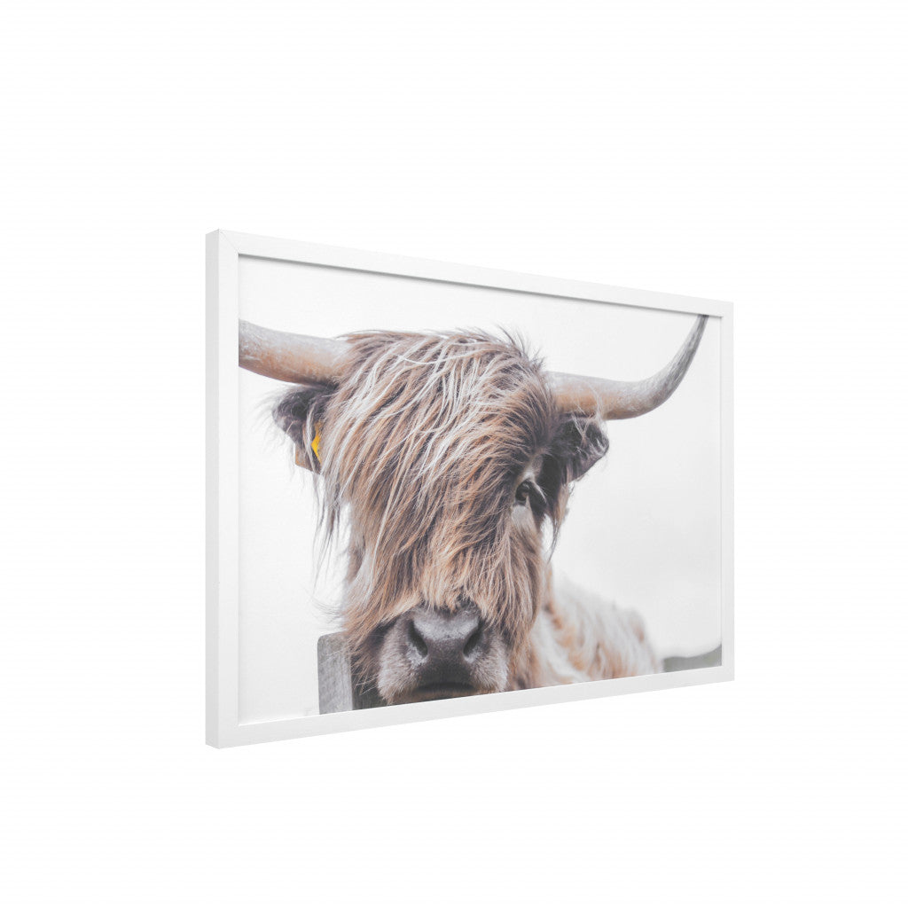 Highland Cow White Picture Frame Photograph Wall Art