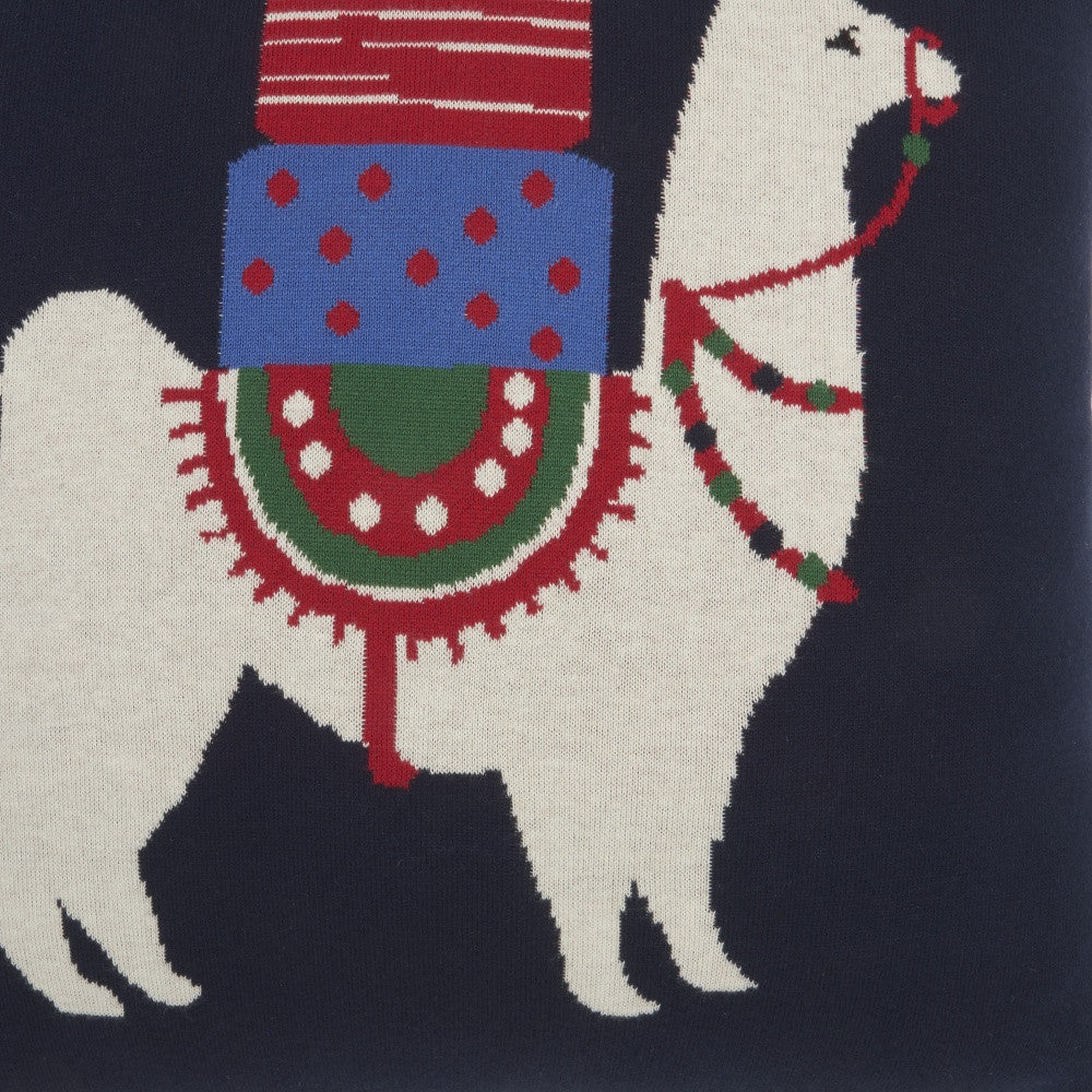 20 英寸 X 20 英寸黑白紅藍綠拉鍊手工 100% 棉聖誕抱枕