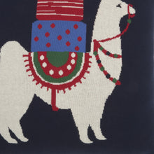 20 英寸 X 20 英寸黑白紅藍綠拉鍊手工 100% 棉聖誕抱枕