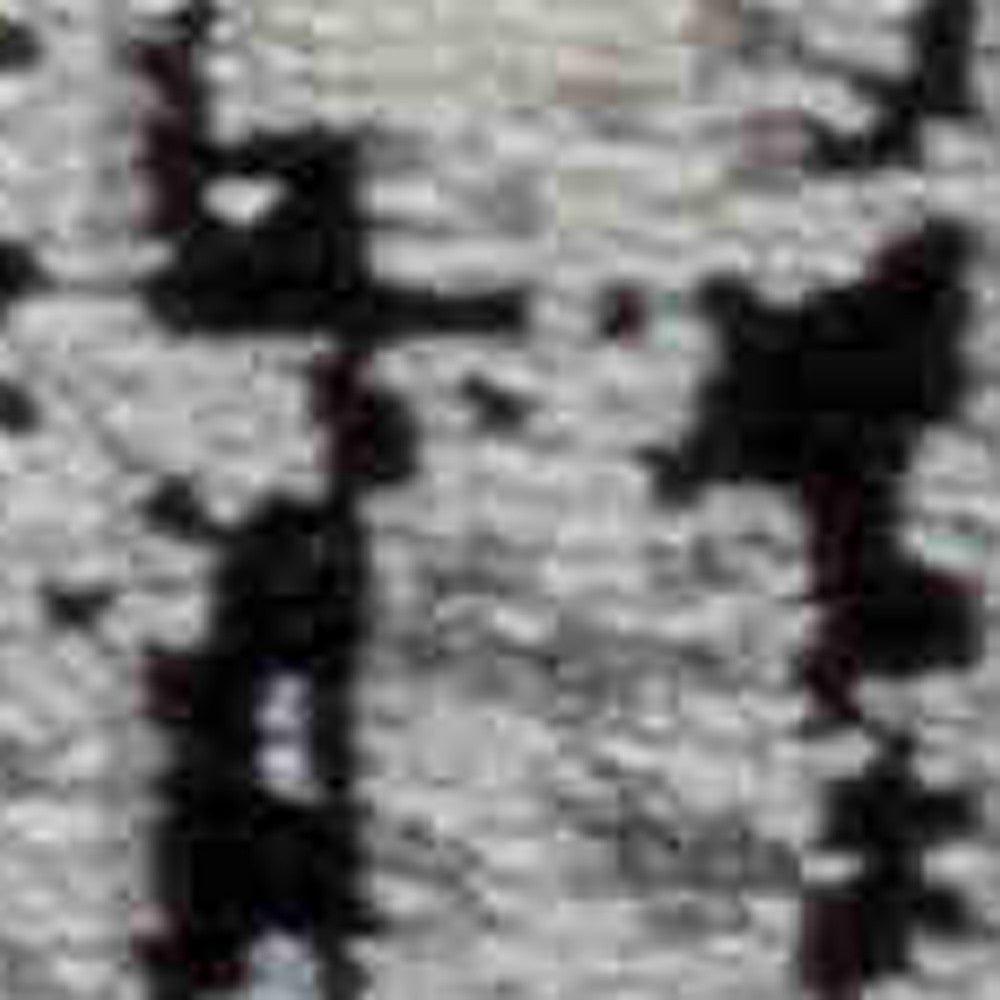 4' X 6' Black Oriental Area Rug