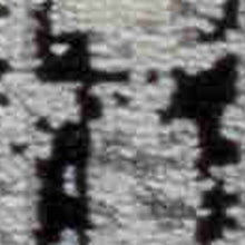 4' X 6' Black Oriental Area Rug