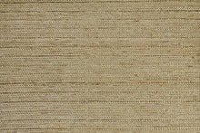 4' X 6' Tan Ivory And Taupe Hand Woven Area Rug