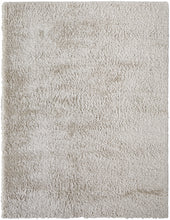 Ivory Shag Power Loom Stain Resistant Area Rug - 4' x 6'