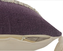 Juego de dos cojines de algodón 100% con cremallera azul de 20