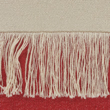 Juego de dos cojines de algodón 100% con cremallera azul de 20