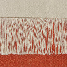 Juego de dos cojines de algodón 100% con cremallera azul de 20