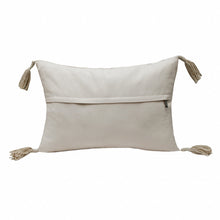 兩個裝 14 英寸 X 20 英寸棕褐色抽象拉鍊 100% 棉抱枕