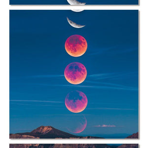 Acrylic Wall Painting Art