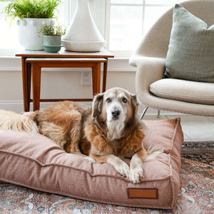 Lounger Pet Bed in Pittie Pink