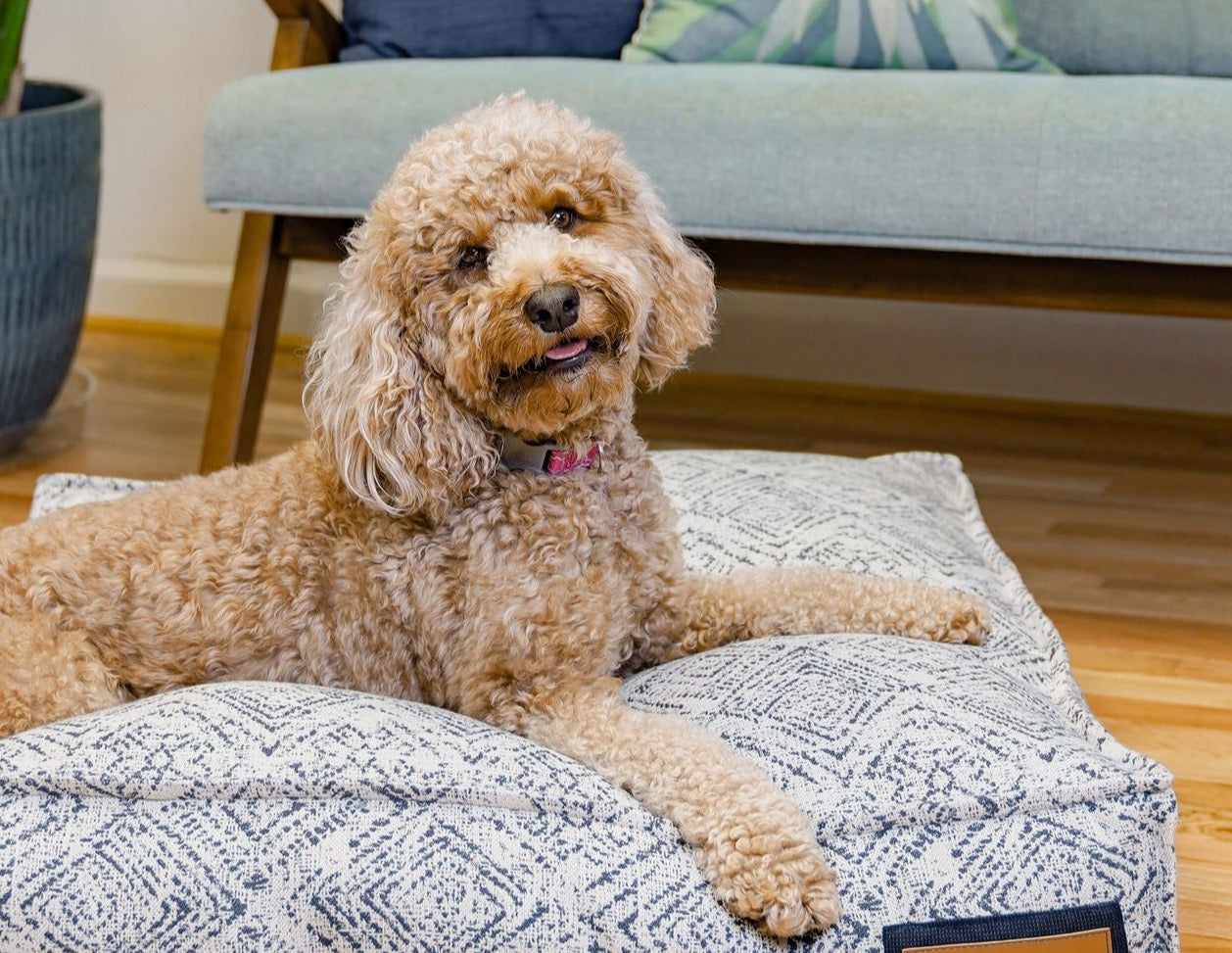 Lounger Pet Bed in Sapphire Spaniel